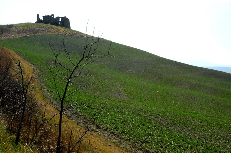 Volterra